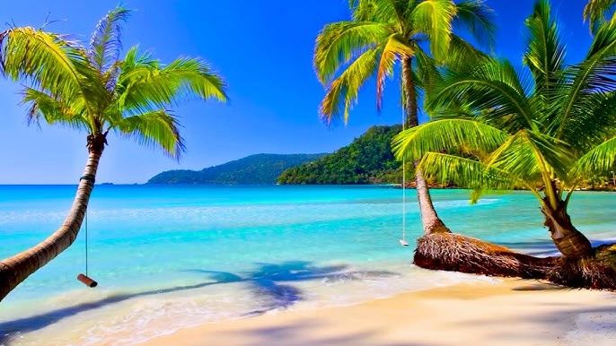 Tropical beach with palm trees and turquoise water